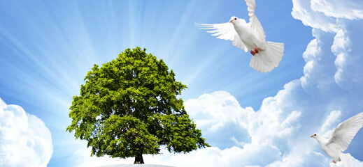 品牌設(shè)計公司在社會上有什么用途？