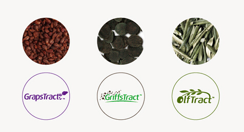 企業(yè)vi設(shè)計技術(shù)解析