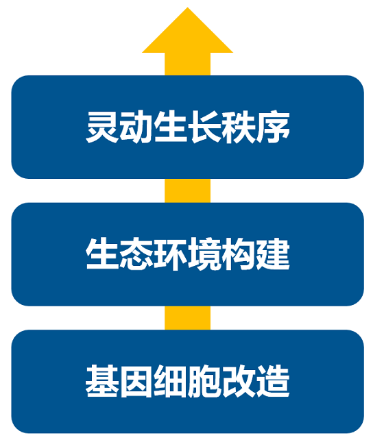 消費升級大時代,品牌如何進行戰(zhàn)略升級?
