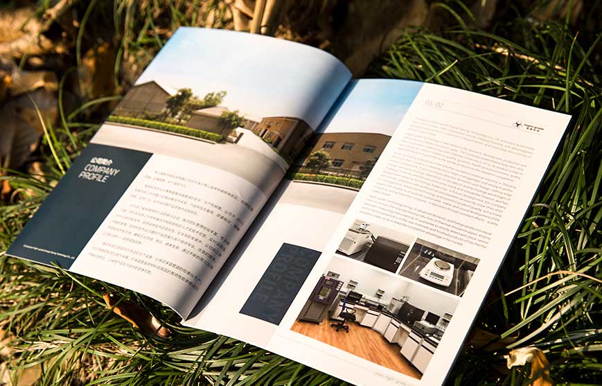 奧運(yùn)&mdash;&mdash;企業(yè)的營銷平臺