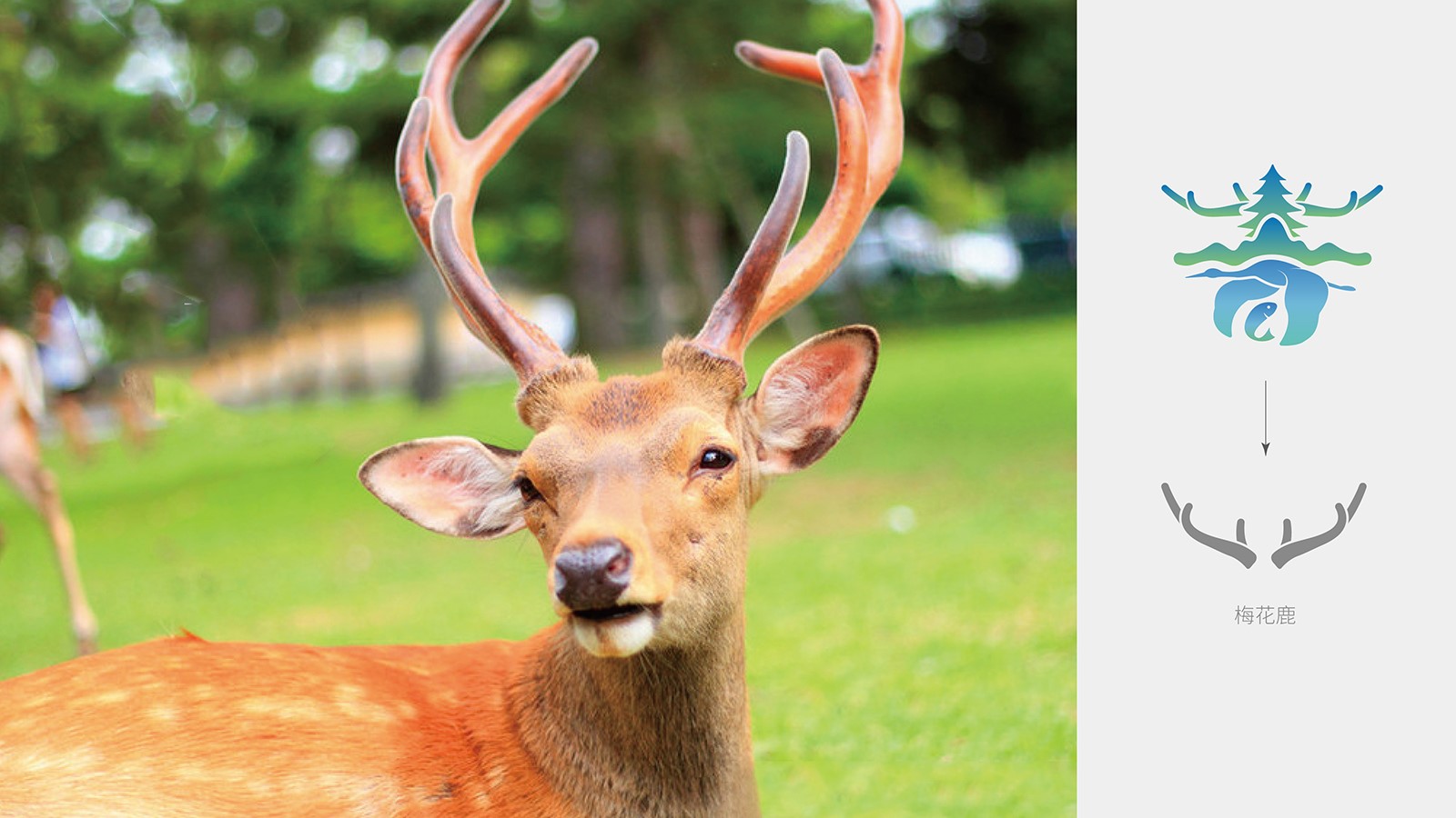 企業(yè)整套vi設(shè)計(jì)價(jià)格值不值?