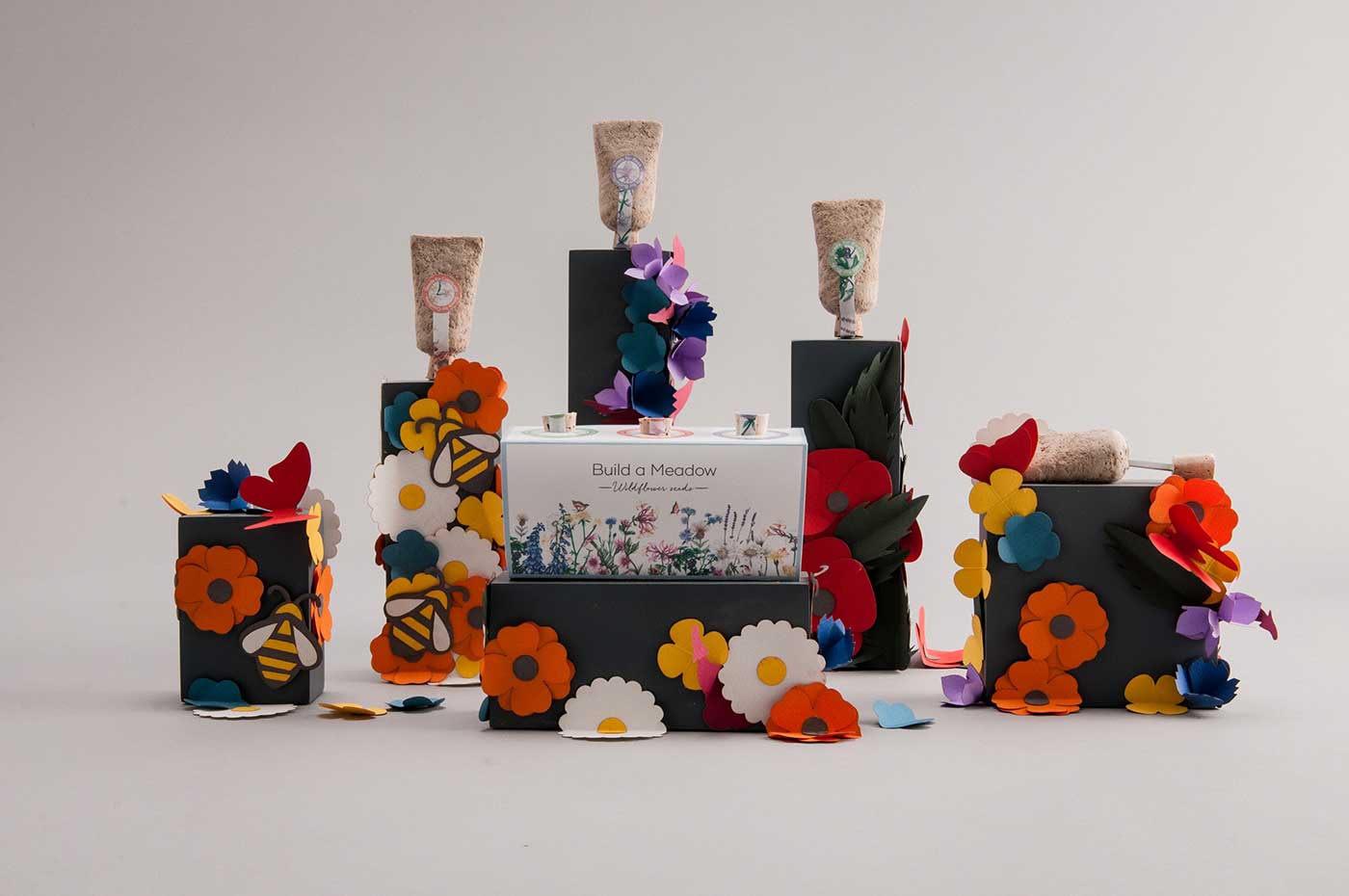 草甸種子創(chuàng)意包裝設計