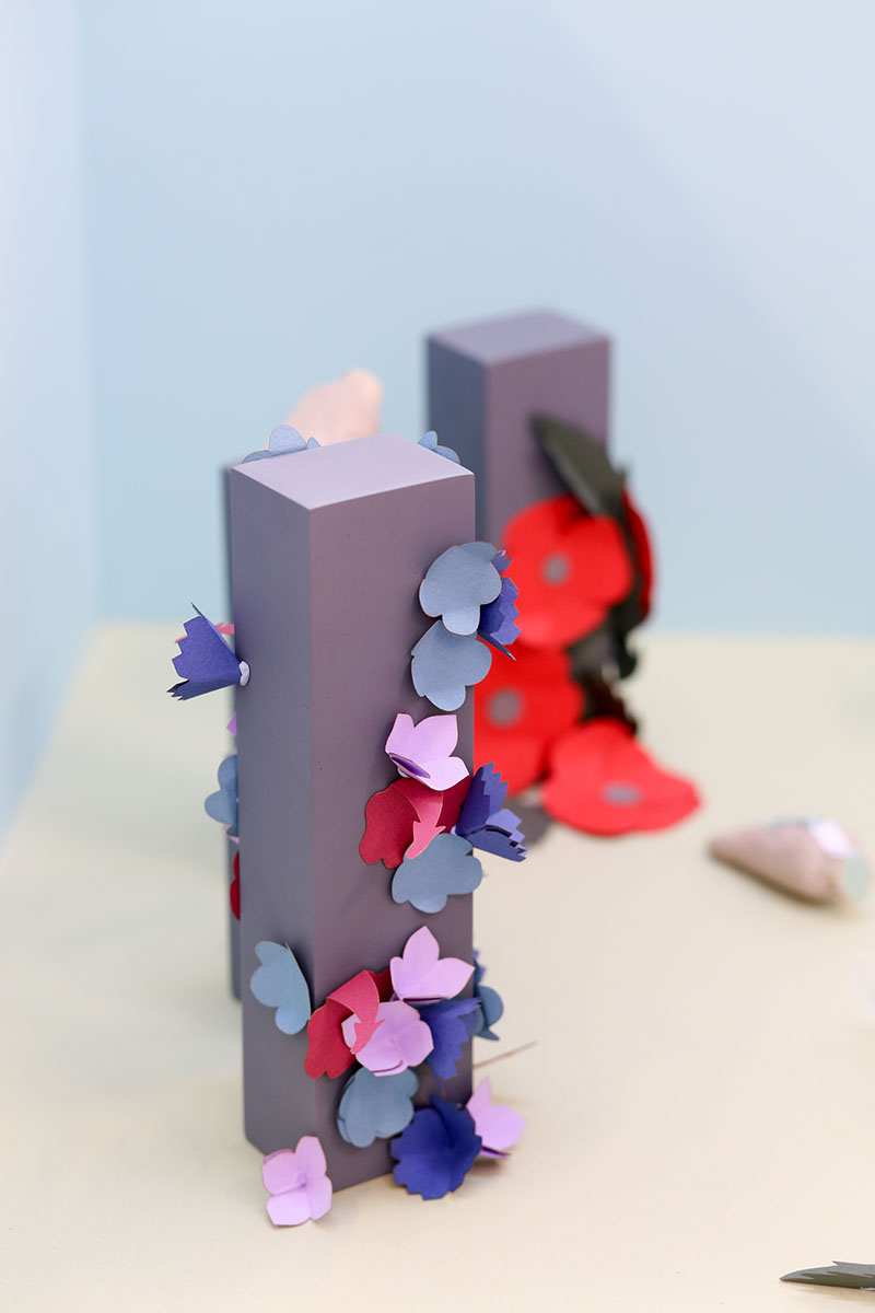 草甸種子創(chuàng)意包裝設計