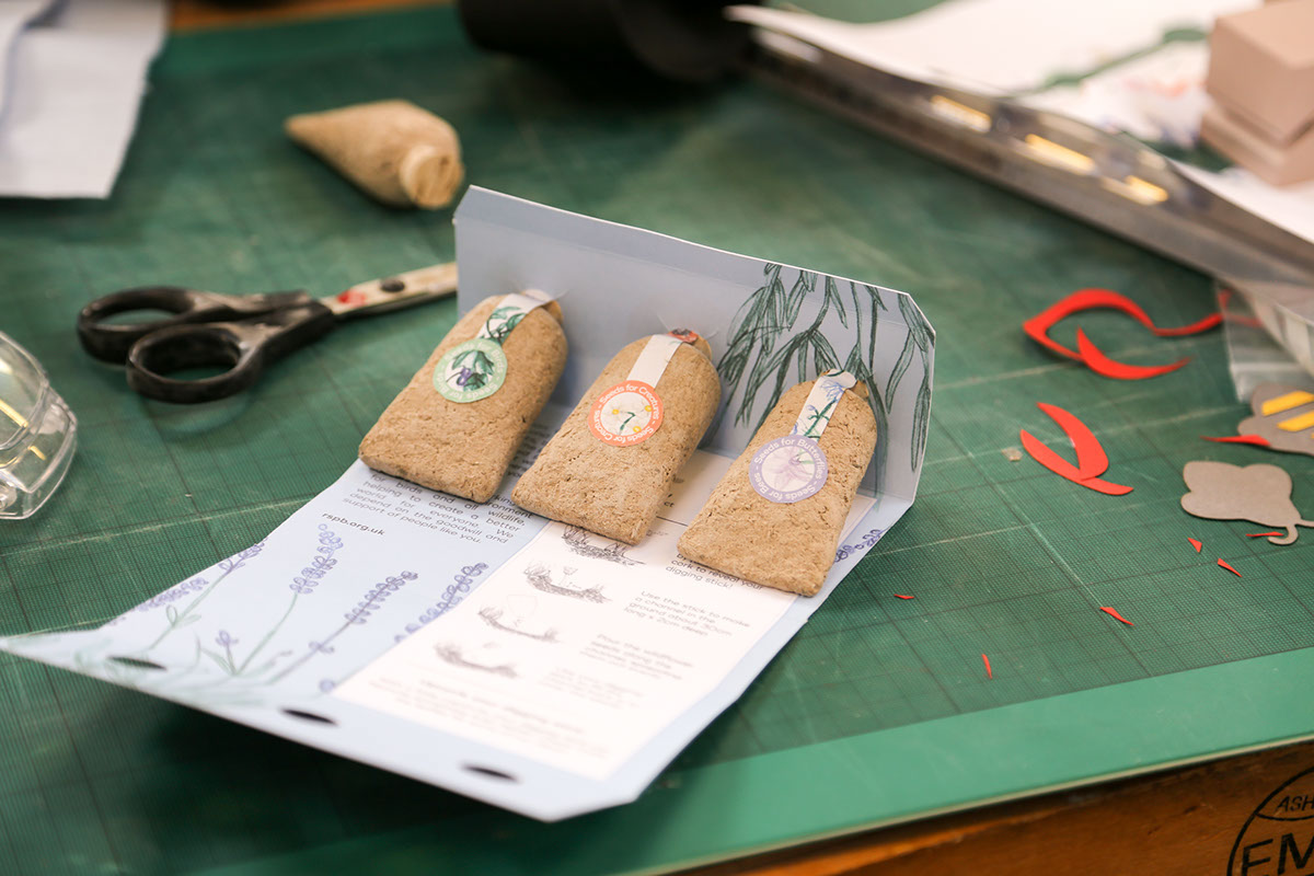 草甸種子創(chuàng)意包裝設計