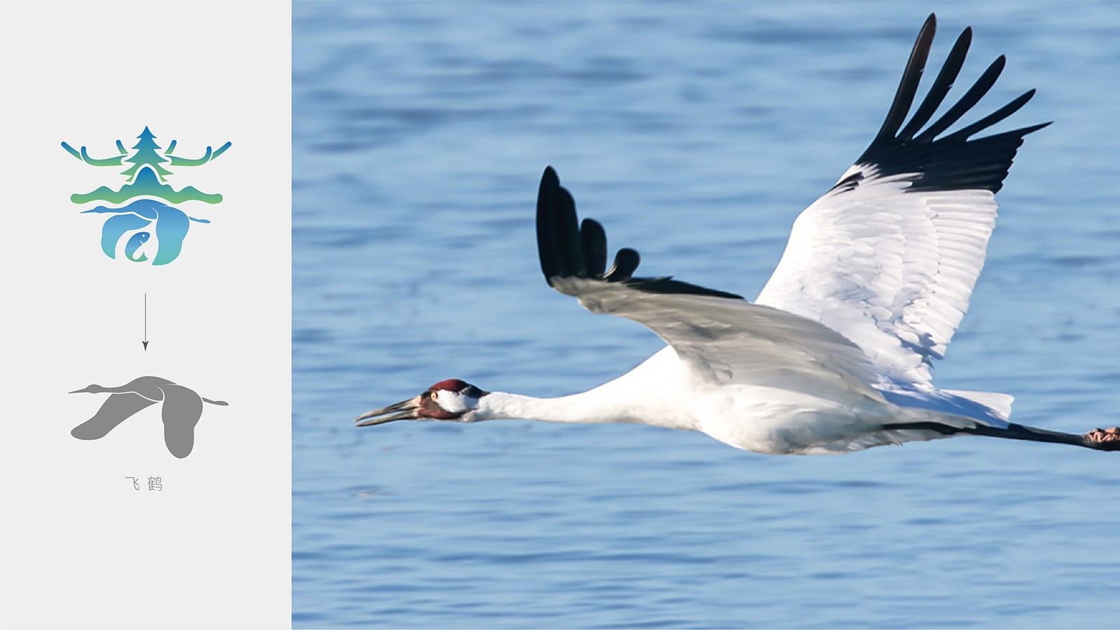 1626848401949540.jpg 1601955586972953.jpg