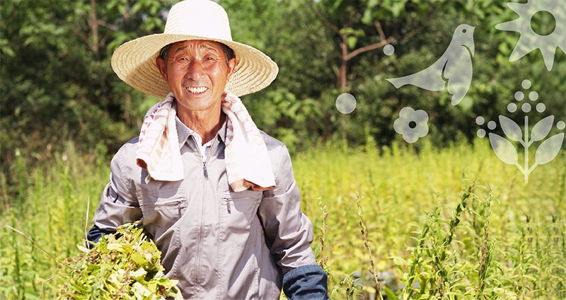 品牌形象vi設(shè)計公司