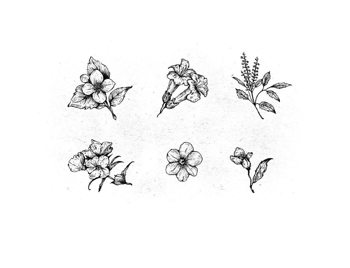 化妝品護膚產品包裝設計— 百分之百天然手工皂，沐浴露和洗滌液品牌包裝設計