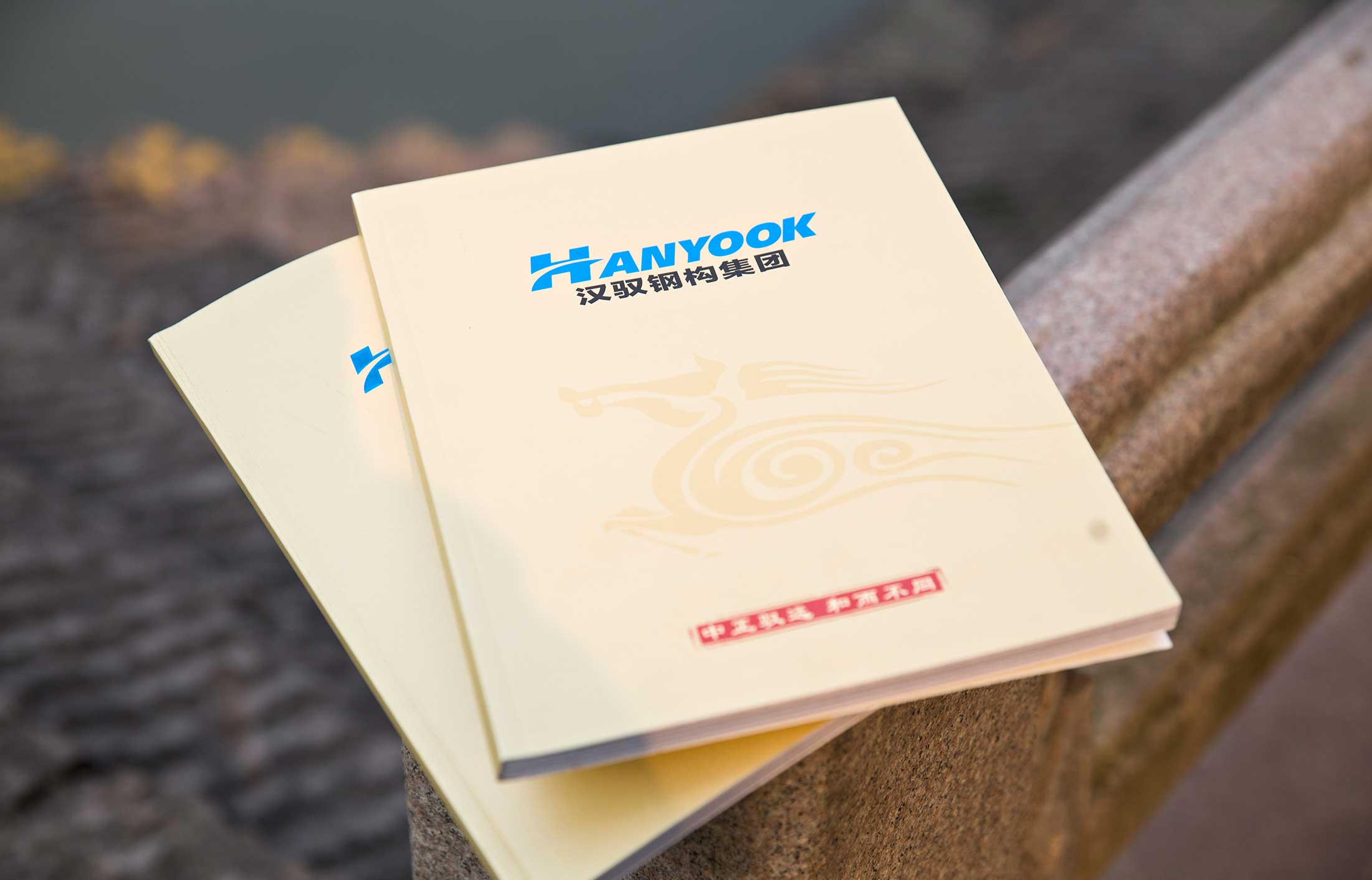 漢馭鋼構(gòu)集團(tuán)畫(huà)冊(cè)