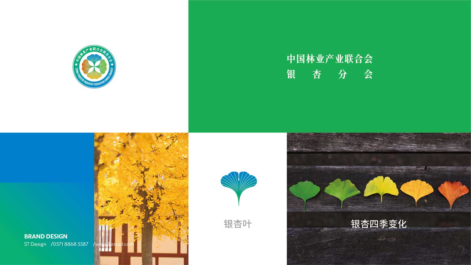 1595756938879002.jpg PPL2.jpg